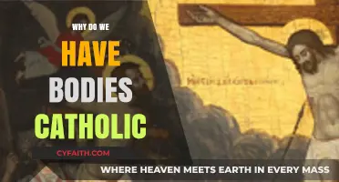 Why Do Catholics Believe We Have Bodies? Exploring Faith and Flesh