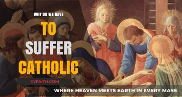 Understanding Catholic Suffering: A Reflection on Faith and Endurance