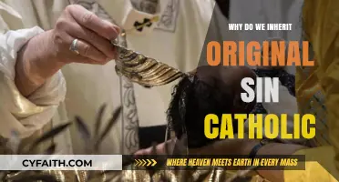 Understanding Original Sin: Catholic Teachings on Inherited Guilt and Redemption