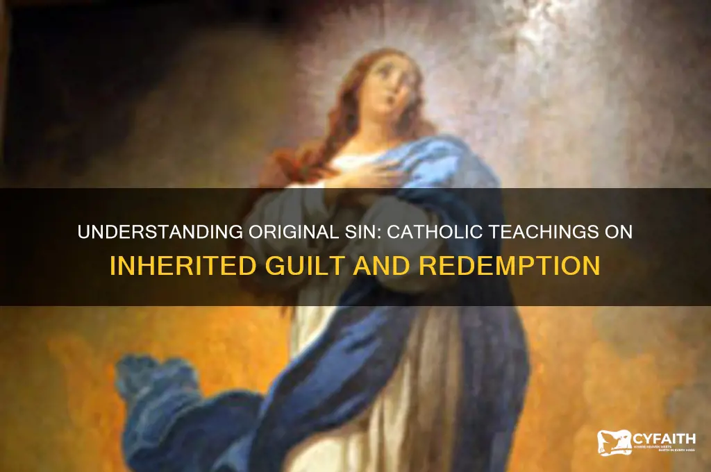 why do we inherit original sin catholic