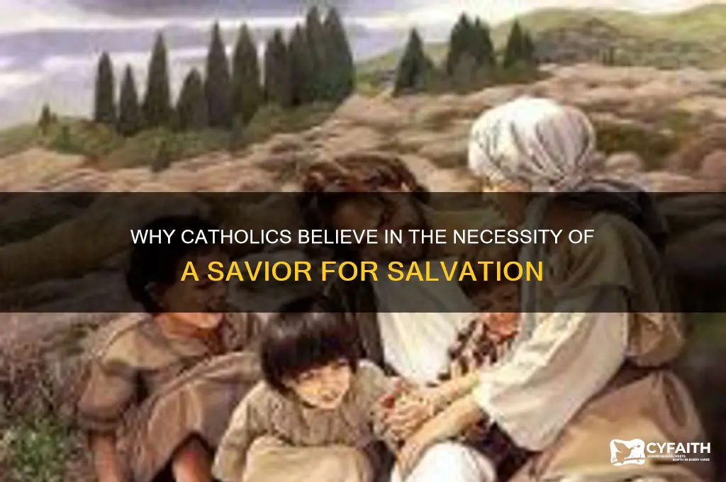 why do we need a savior catholic