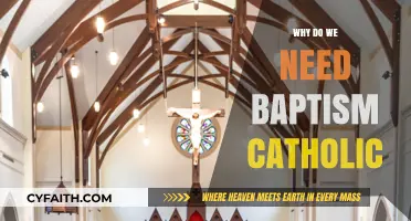 Understanding the Importance of Baptism in the Catholic Faith