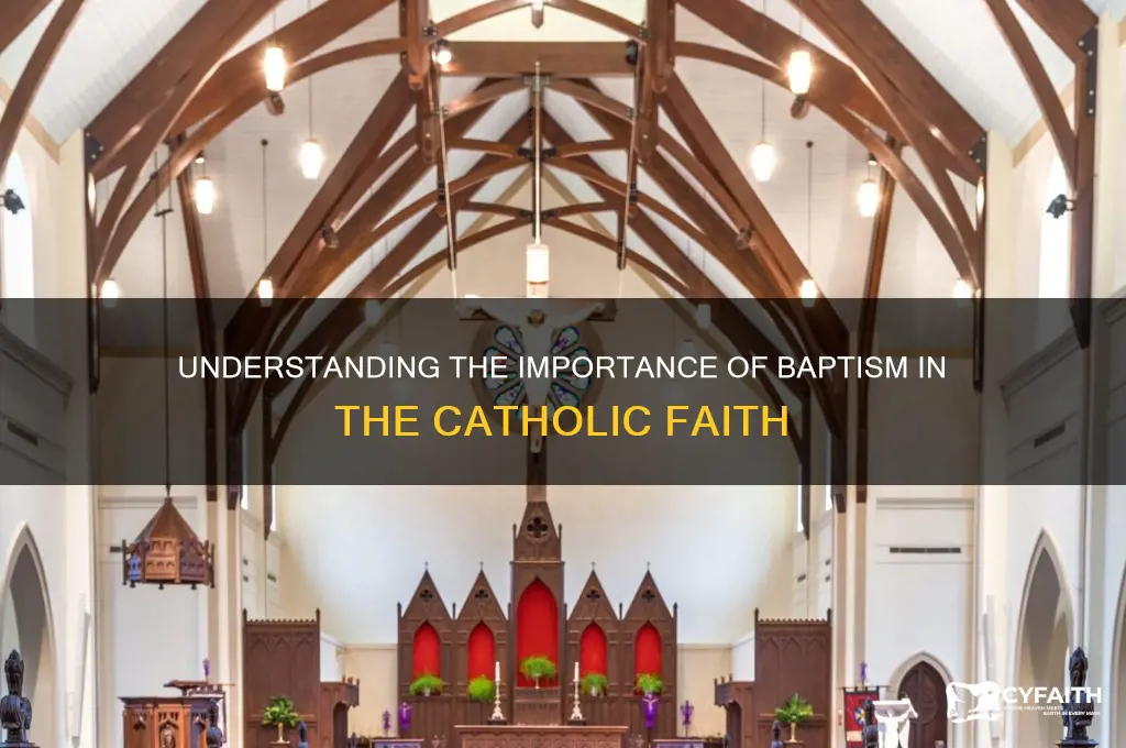 why do we need baptism catholic