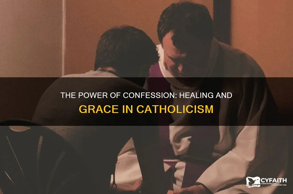 why do we need confession catholic