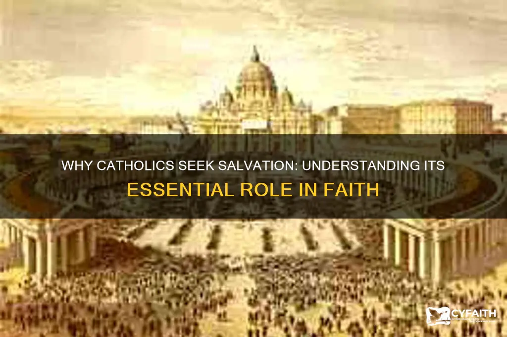 why do we need salvation catholic