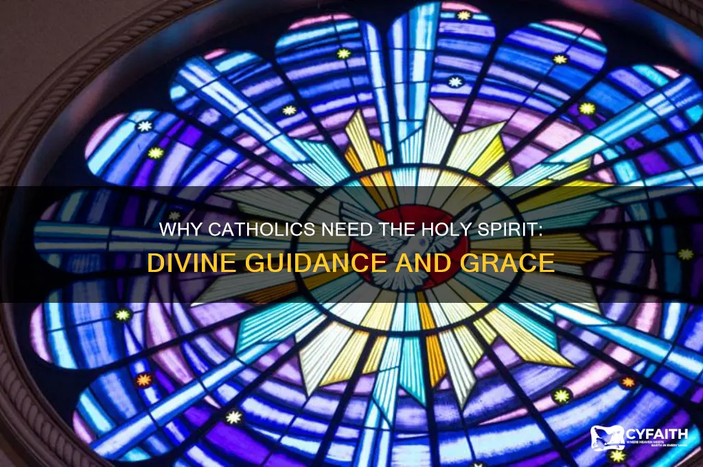 why do we need the holy spirit catholic