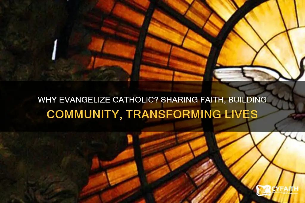 why do we need to evangelize catholic