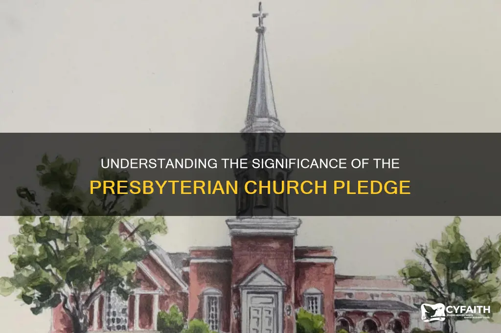 why do we pledge in presbyterian church