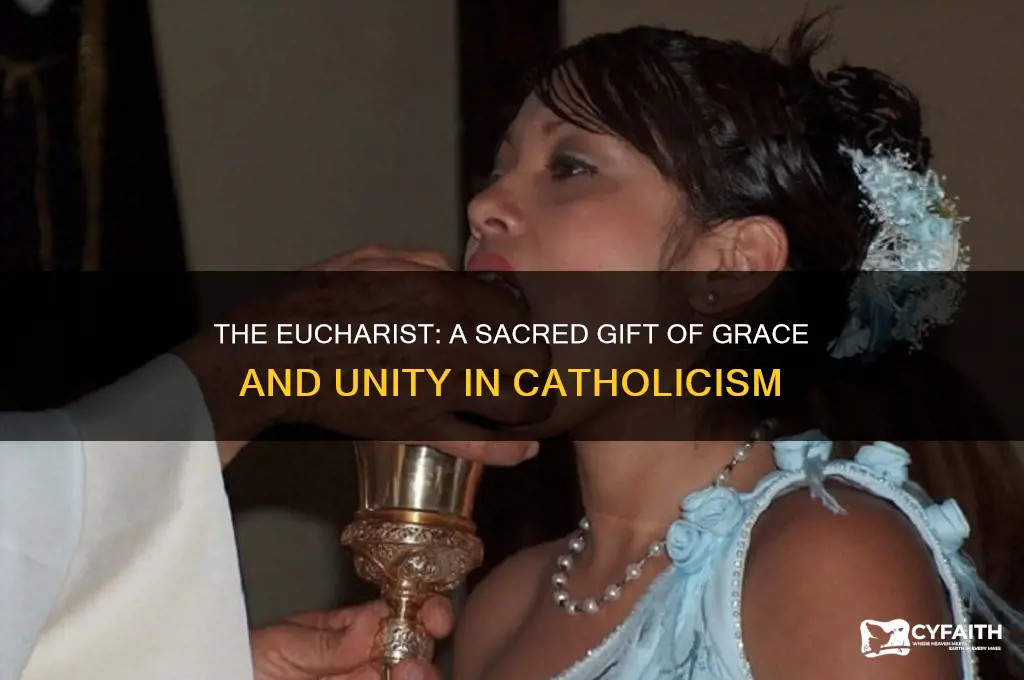 why do we receive the eucharist catholic