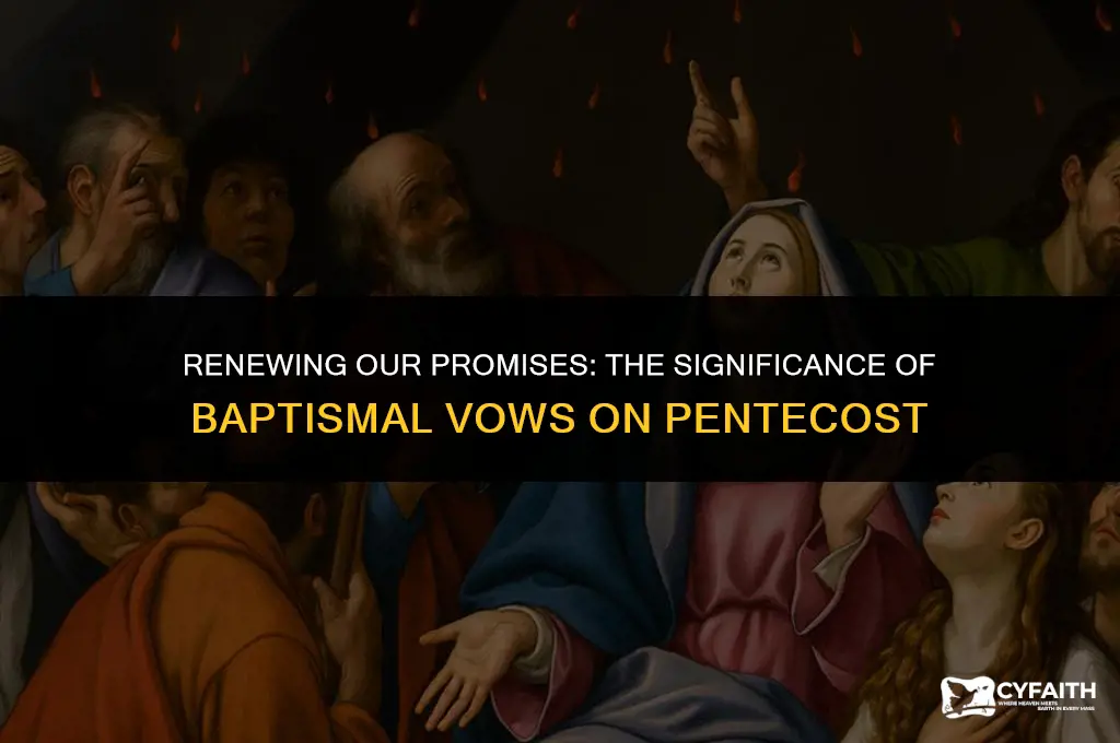 why do we recite baptismal vows on pentecost