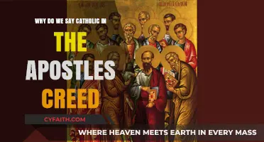 Understanding the Catholic Faith: Exploring the Apostles' Creed's Meaning