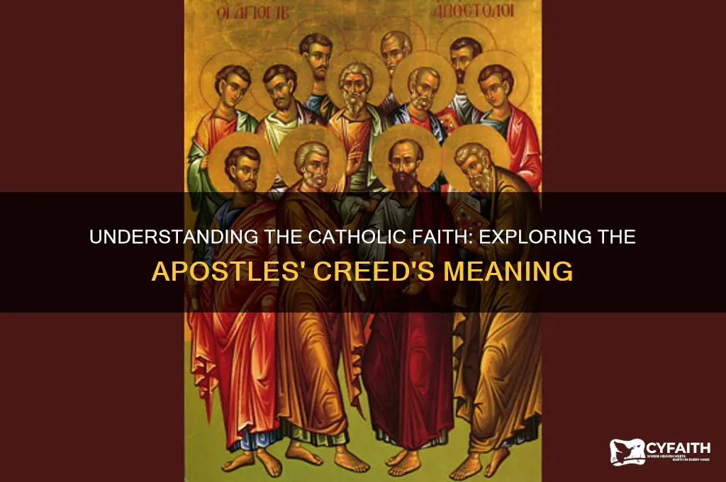 why do we say catholic in the apostles creed