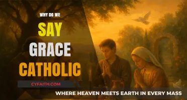 Understanding the Catholic Tradition of Saying Grace Before Meals