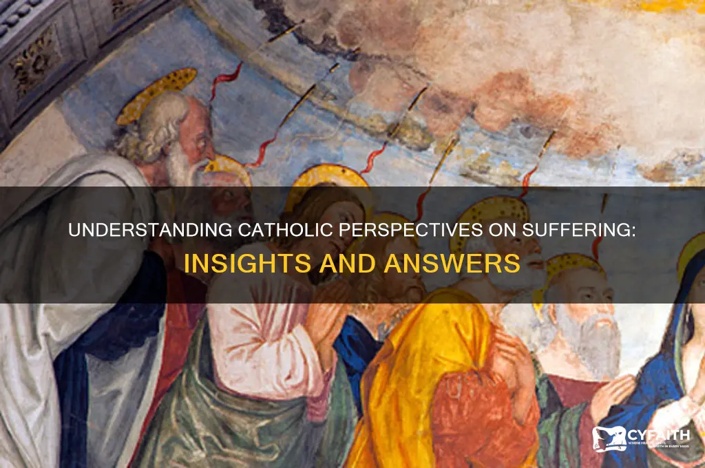 why do we suffer catholic answers