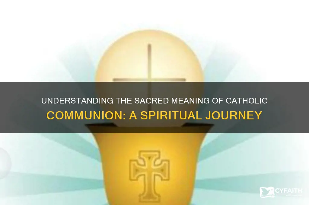 why do we take communion catholic