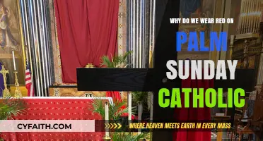 Red on Palm Sunday: Catholic Tradition Explained