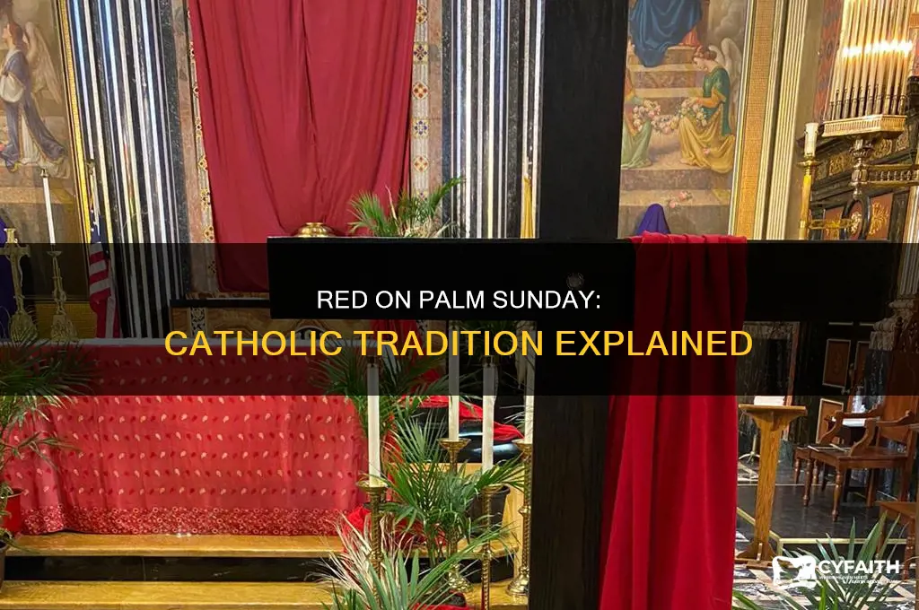 why do we wear red on palm sunday catholic