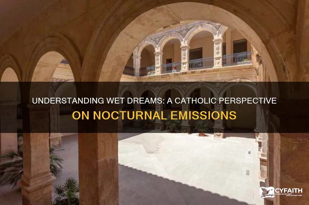 why do wet dreams happen catholic