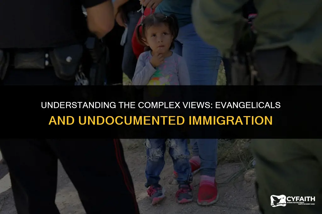 why do white conservative evangelicals hate undocumented immigrants