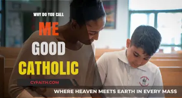 Why Do You Call Me Good Catholic? Exploring Faith and Identity