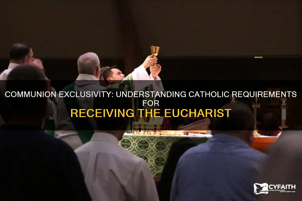 why do you have to be catholic to receive communion