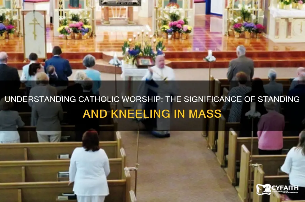 why do you standvand kneel during a catholic
