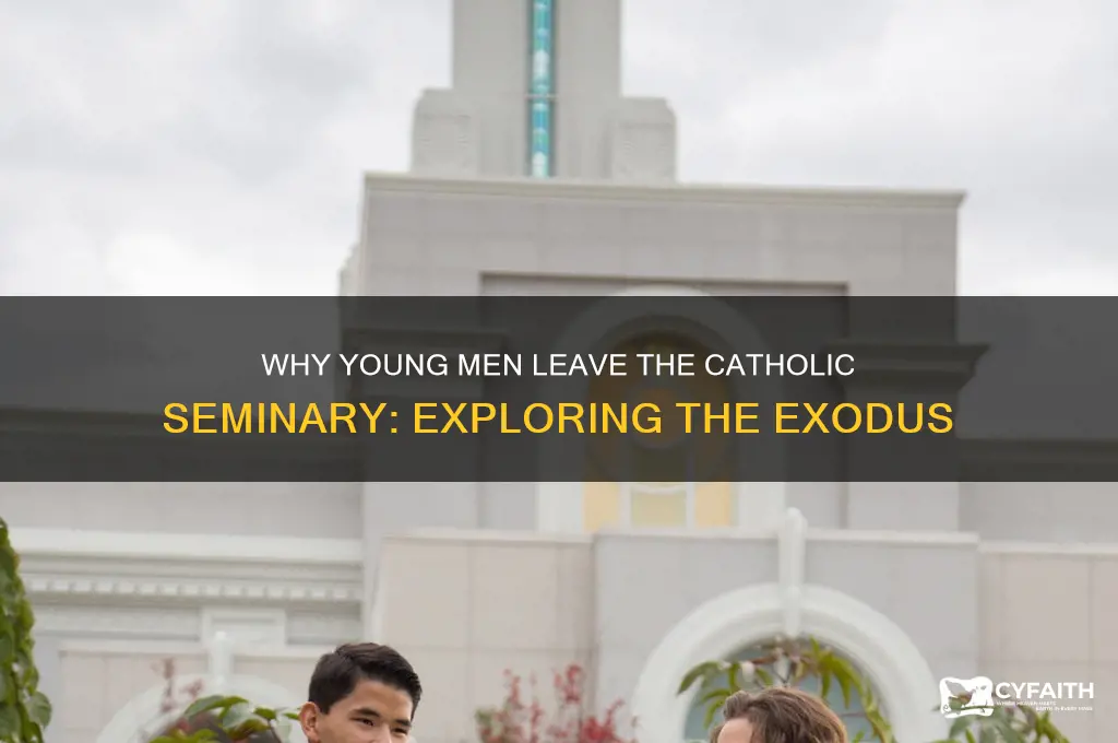 why do young men leave the catholic seminary