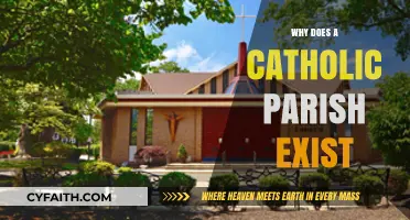The Purpose of a Catholic Parish: Community, Faith, and Mission Explained