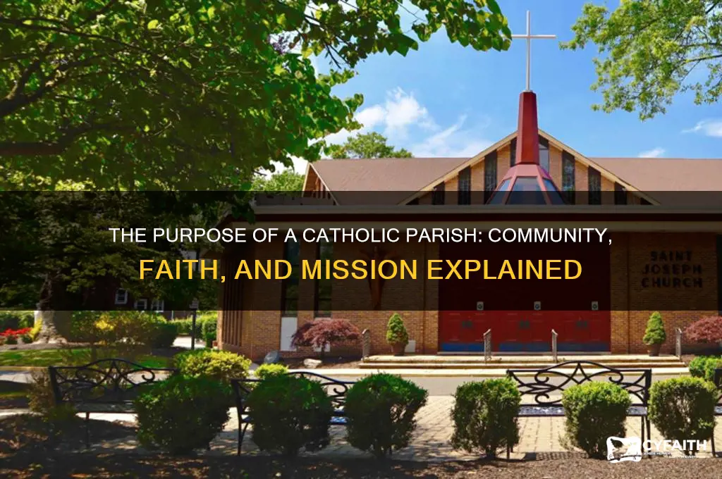 why does a catholic parish exist