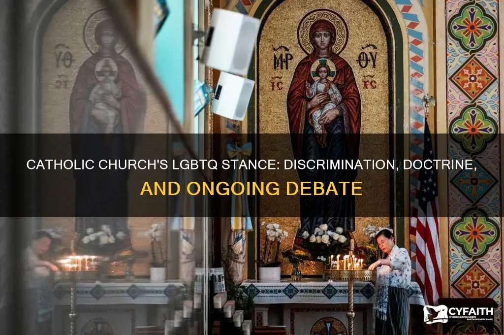 why does catholic discrinamate against lgdtq