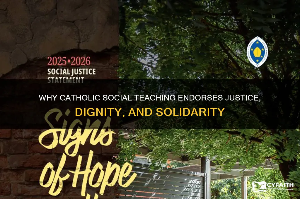 why does catholic social teaching endorse