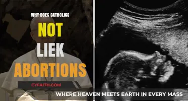 Understanding Catholic Opposition to Abortion: Faith, Morality, and Sanctity of Life
