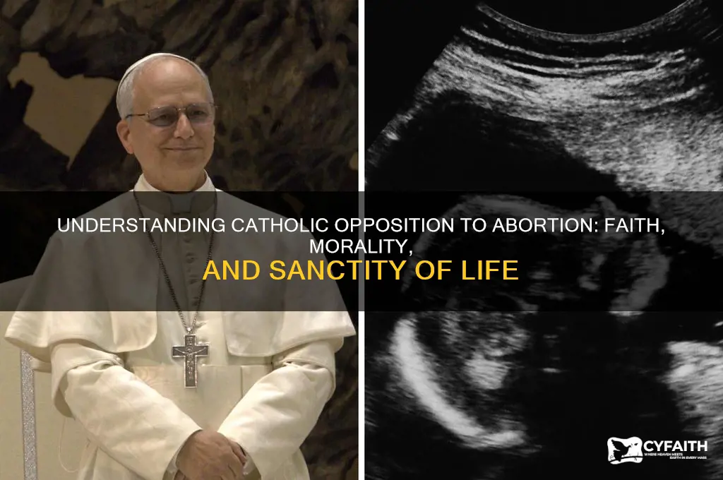 why does catholics not liek abortions