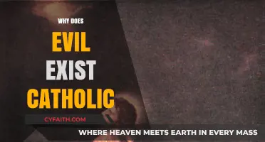 Why Does Evil Exist? A Catholic Perspective on Suffering and Faith