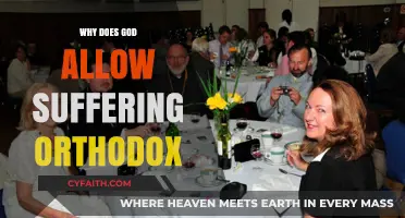 Why Does God Allow Suffering? An Orthodox Christian Perspective