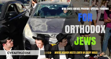Israel's Special Funding for Orthodox Jews: Reasons and Implications