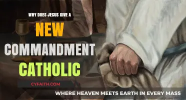 Jesus' New Commandment: Catholic Insights on Love and Unity
