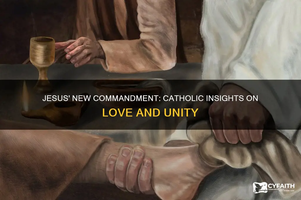 why does jesus give a new commandment catholic