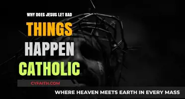 Why Does Jesus Allow Suffering? A Catholic Perspective on Evil