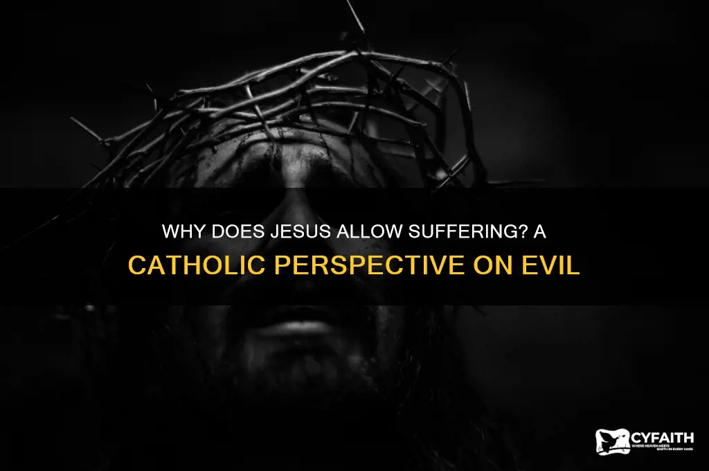 why does jesus let bad things happen catholic