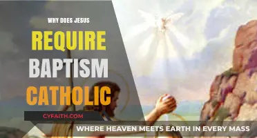 Why Baptism Matters: Understanding Jesus' Command in Catholic Tradition