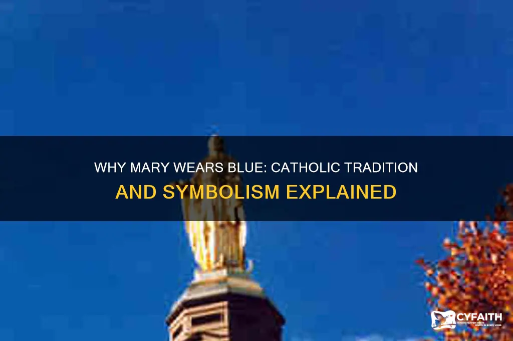 why does mary wear blue catholic