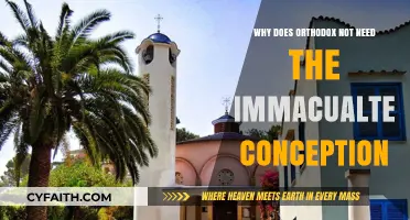 Orthodox Theology Rejects Immaculate Conception: Understanding the Divine Difference