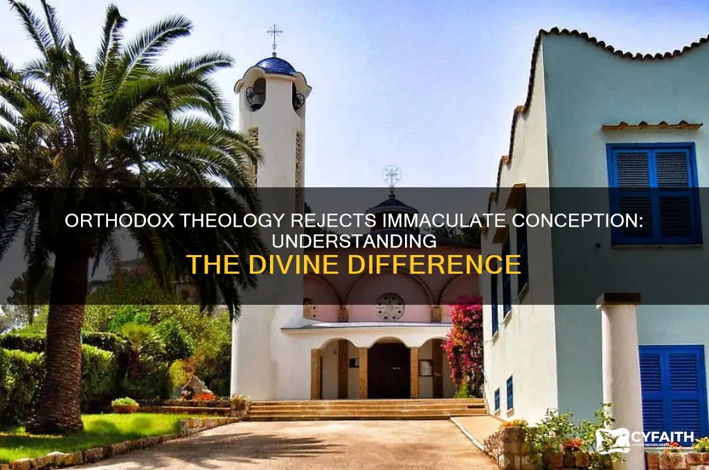 why does orthodox not need the immacualte conception
