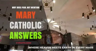 Paul's Silence on Mary: Exploring Catholic Perspectives and Interpretations
