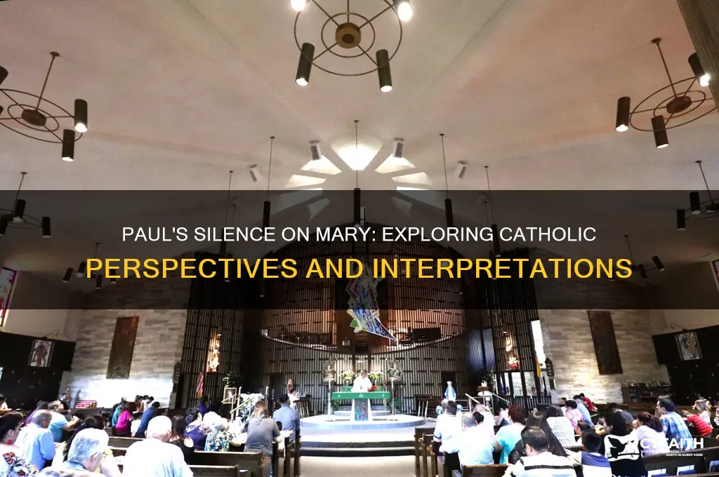 why does paul not mention mary catholic answers