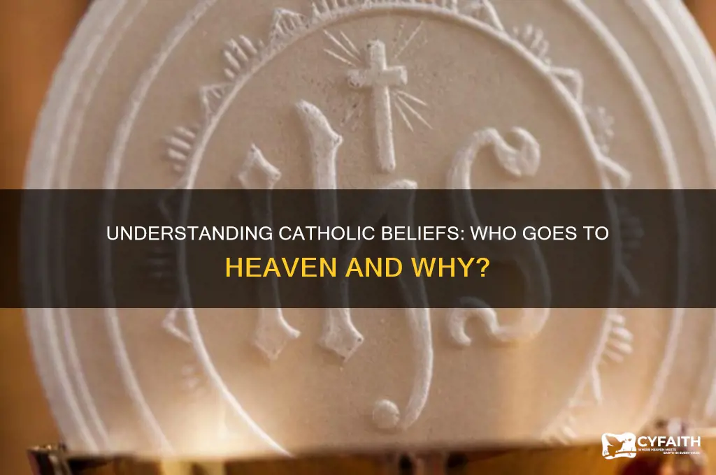why does someone go to heaven catholics