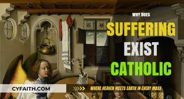 Why Does Suffering Exist? A Catholic Perspective on Pain and Hope