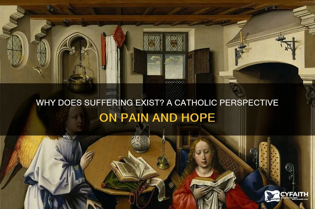 why does suffering exist catholic