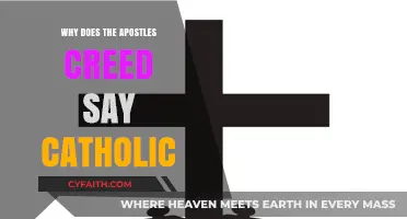 Why the Apostles' Creed Affirms the Catholic Church's Unity